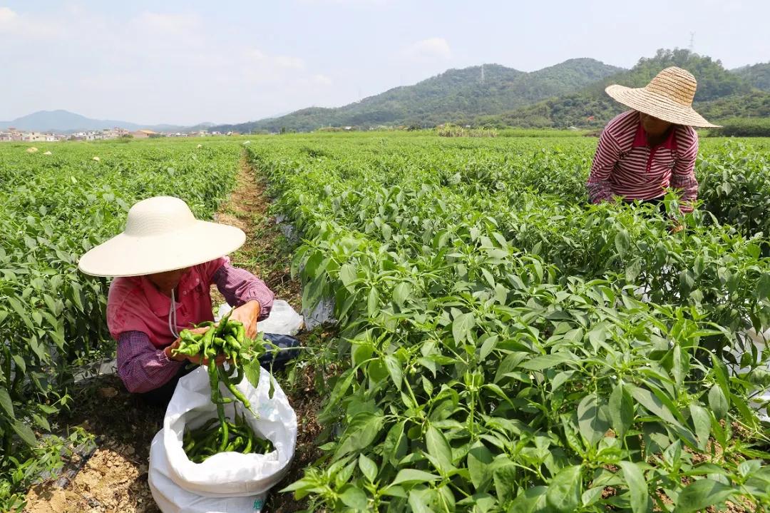 鍗楁鍖楄繍,浜戞诞鍗楁鍖楄繍鐏荆淇濅緵