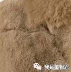 baby都在穿的乐虎鞋,baby所有服装图片