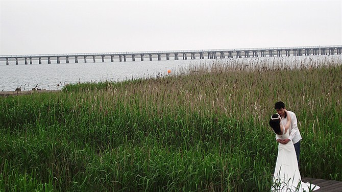 上海金山区有没有免费的沙滩,上海金山沙滩
