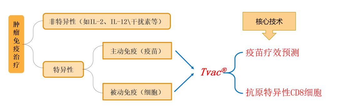 广州润生细胞医药科技有限公司,润生干细胞