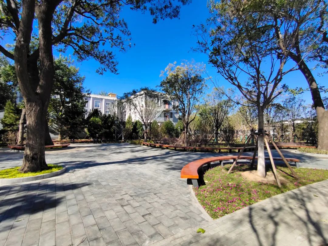 天坛公园周边,天坛旁边的公园