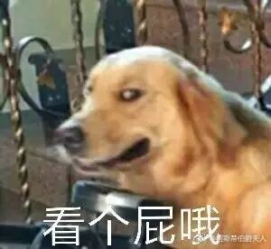 多少度狗狗会中暑,狗狗中暑打什么药