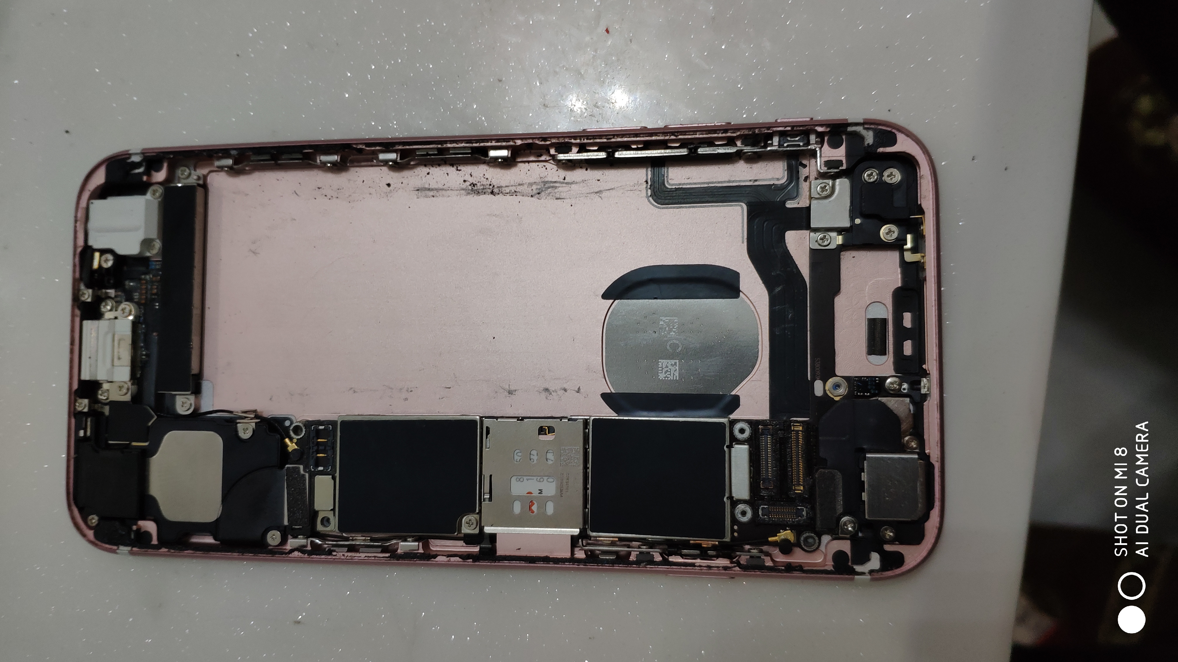 自己动手换iphone8plus电池,自己动手换6s电池