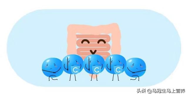 日常生活如何补充益生菌,日常生活中怎么补充益生菌