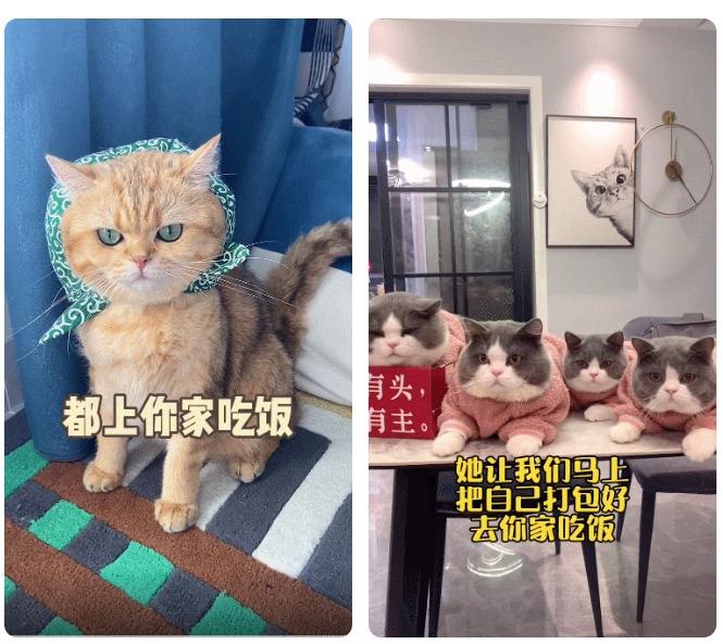 如何有效的掌握抖音流量密码,利用抖音新功能获取流量上热门