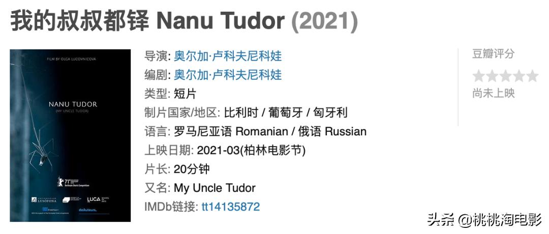 视频门、恋爱与出轨、法版李焕英……他们在柏林,都遭遇了什么?