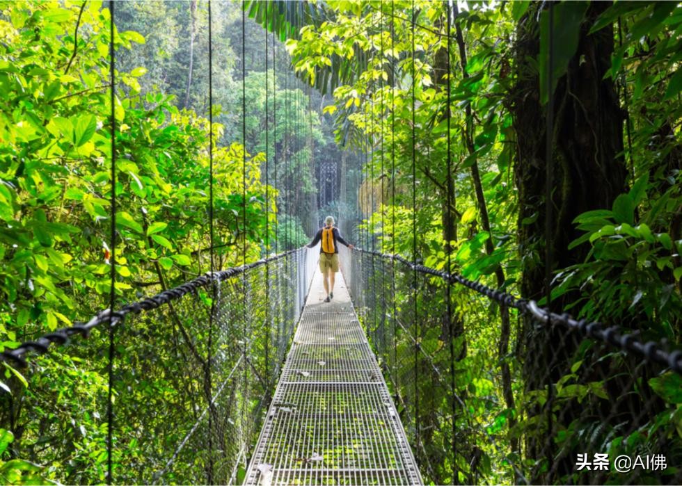 世界上人均gdp最高的国家排行,国家哪个地级市的人均gdp最高