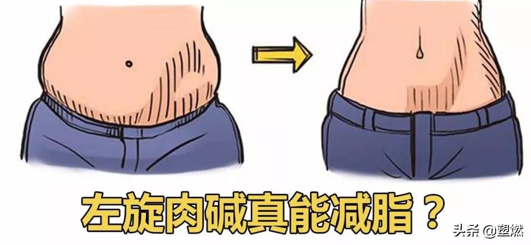 减脂左旋饮料真的有效果吗,减脂左旋肉碱和牛磺素一块吃吗