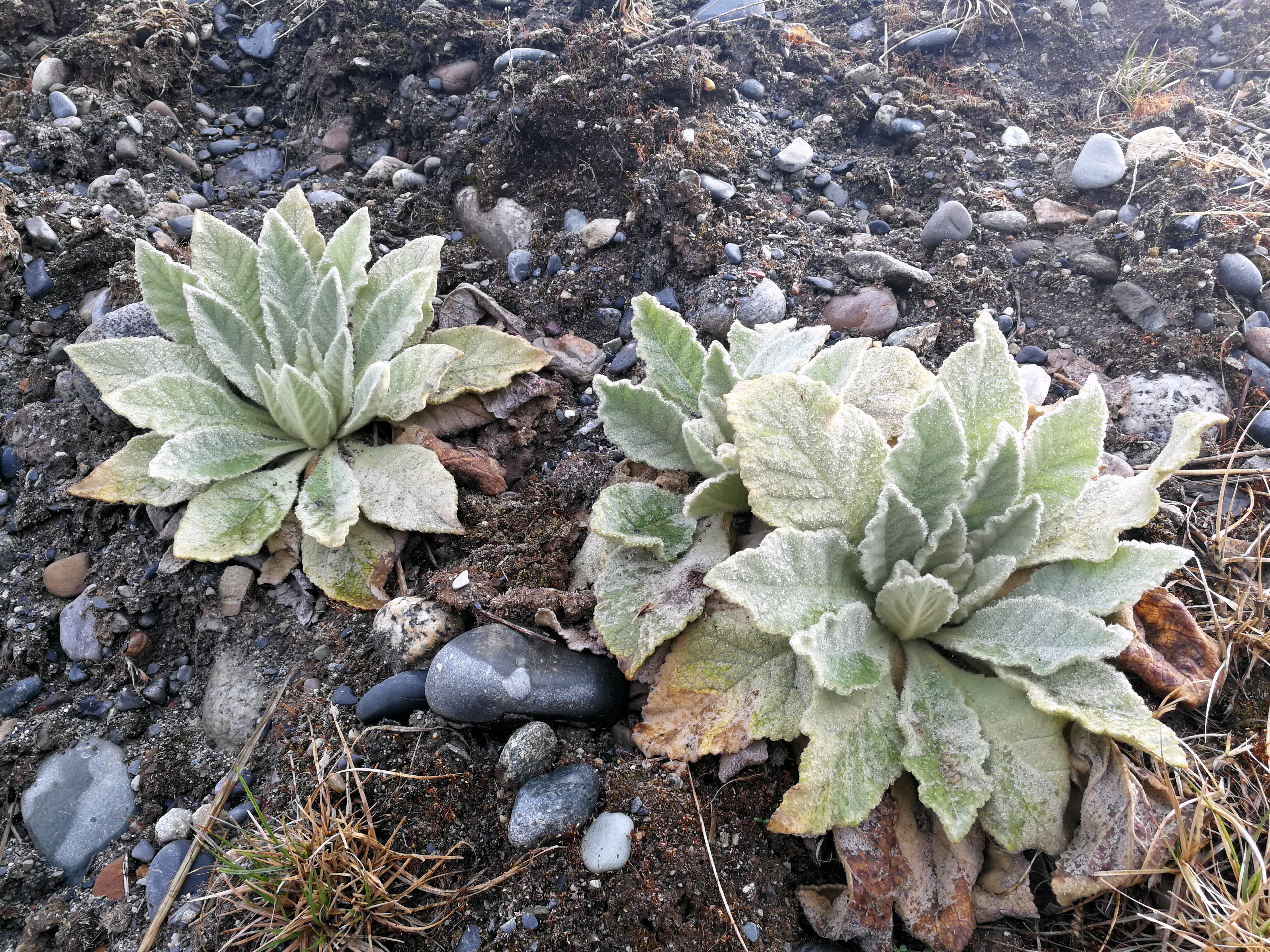 进藏day7试驾,自驾西藏day4