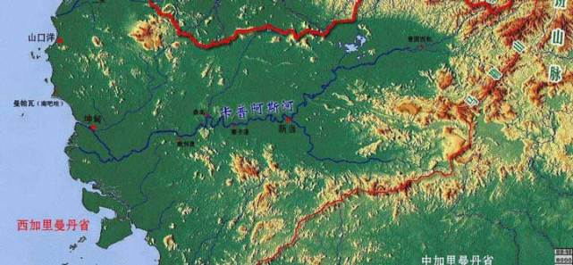 为什么龙鱼价格那么高,为什么龙鱼越来越便宜