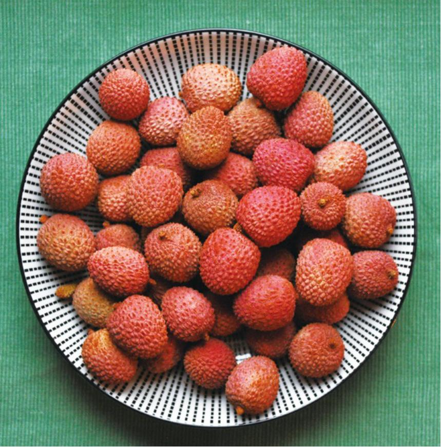 只为灵山“小红果”,不辞长作荔乡人