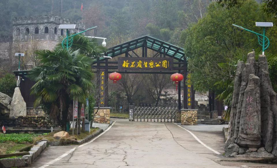 周末游玩优惠票,0元优惠票