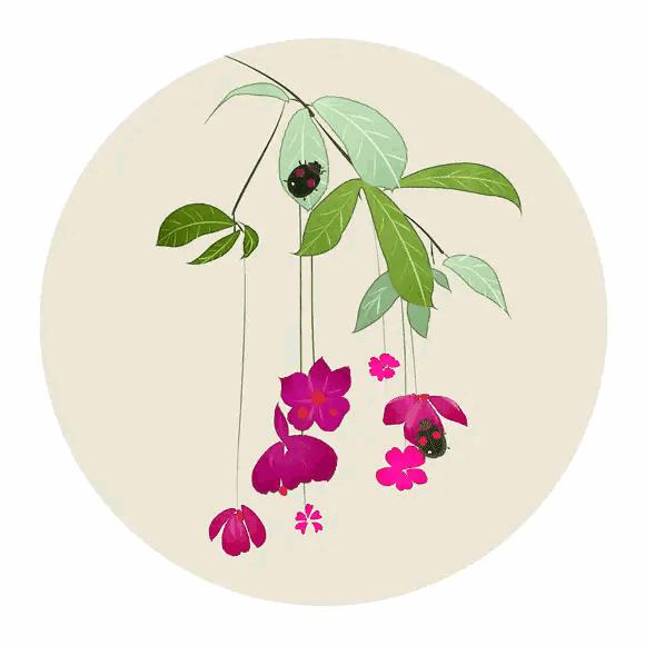 极富哲理的八首经典唐诗赏析合集,唐诗中最有哲理的十首诗