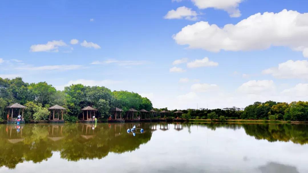 广州吃海鲜最便宜的地方2018年,广州的海鲜哪里又新鲜又便宜