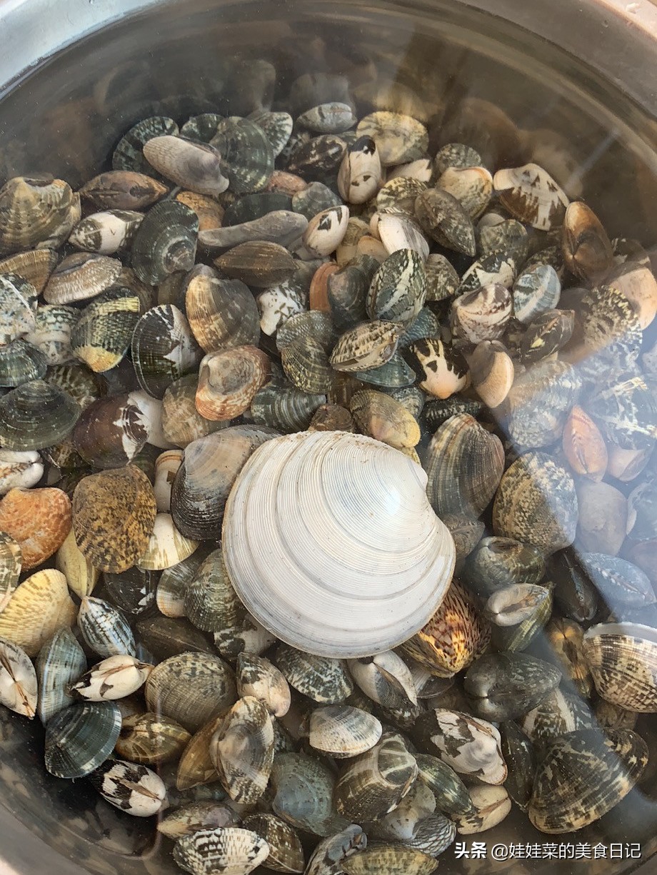 大连七月中旬赶海潮汐表,大连夏家河子赶海潮汐表12月