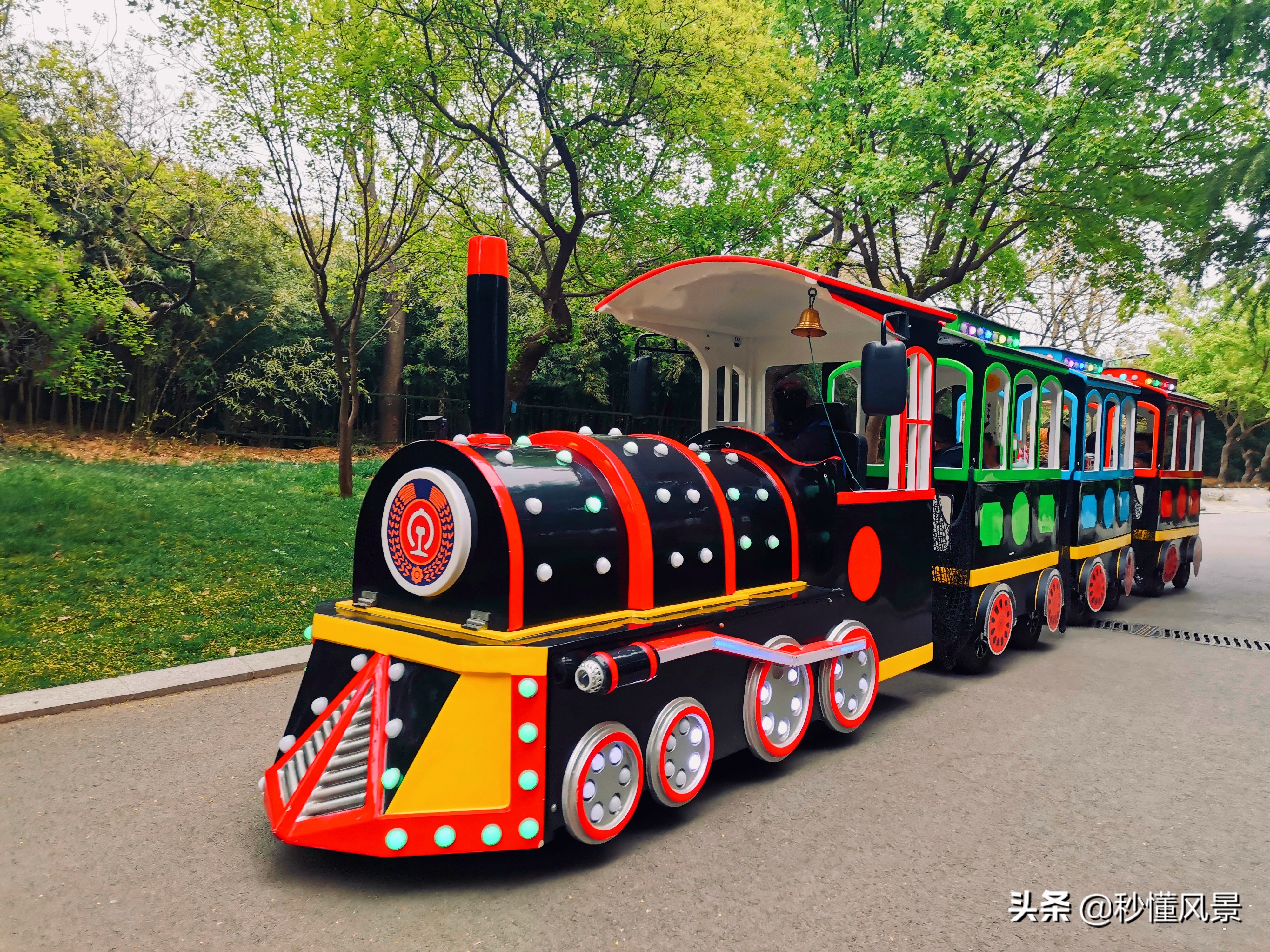 济南秋季周边遛娃景点推荐,济南周末看花遛娃