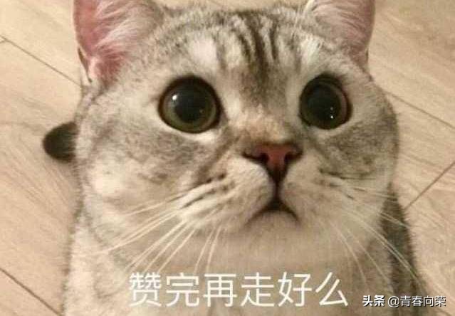 618期间27寸2k显示器推荐,618买显示器真的便宜吗