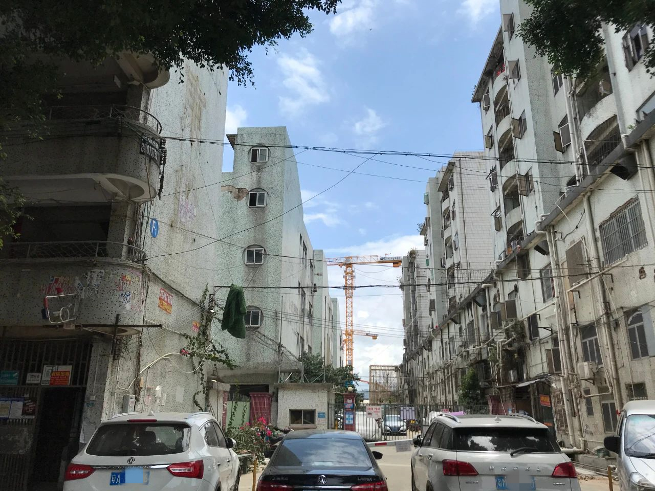 沙井本地人富裕吗,沙井土著