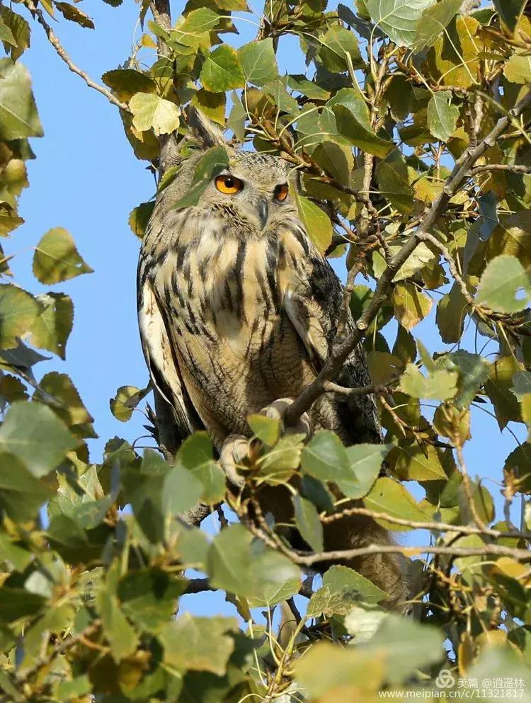天坛最近发生什么事,北京天坛现在的状况