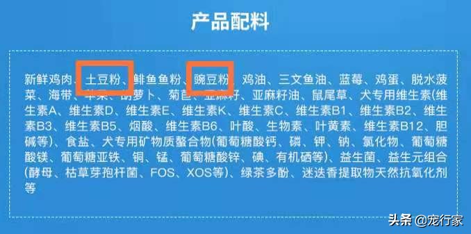 狗粮中隐藏的糖分，是影响狗狗健康的敌人！狗粮对狗真的很好吗？