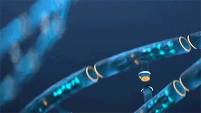 公认最好的物理灭蚊器,世界上最先进的激光灭蚊器