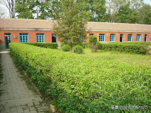 百年老校千载文脉,沈北七星山老学校