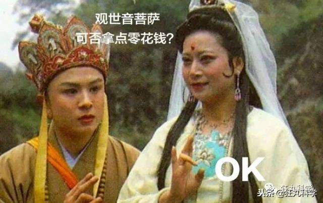 年度沙雕新闻合集,沙雕新闻播报合集