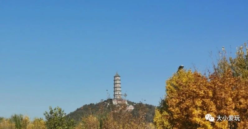 北京适合踏春旅游景点,北京春天看花的景点推荐