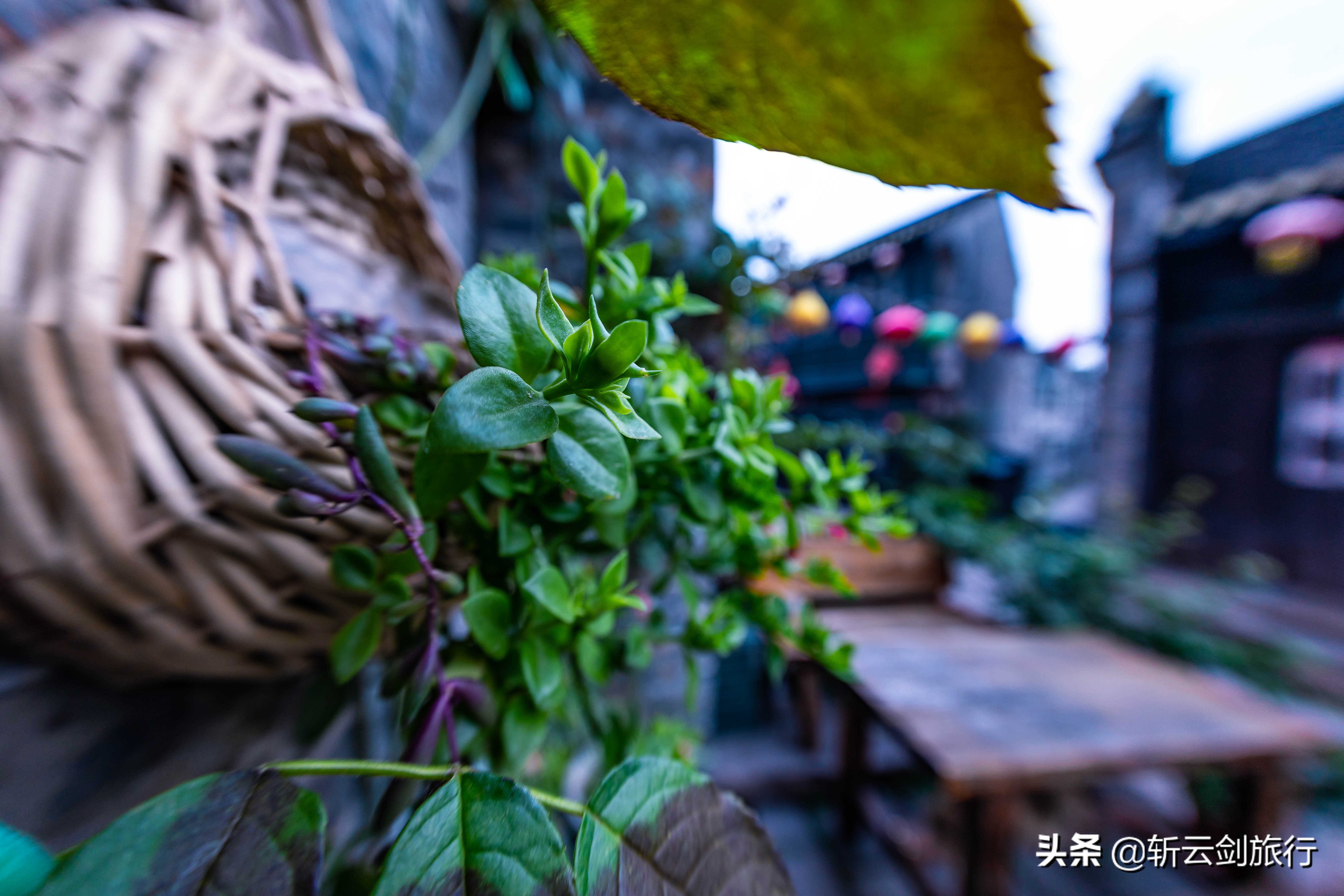 镇江作为中国优秀旅游城市,镇江旅游发展前景