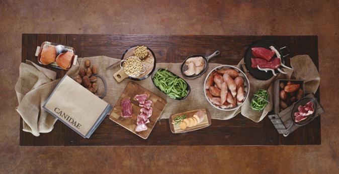 什么猫粮性价比高还美毛,什么牌猫粮性价比高