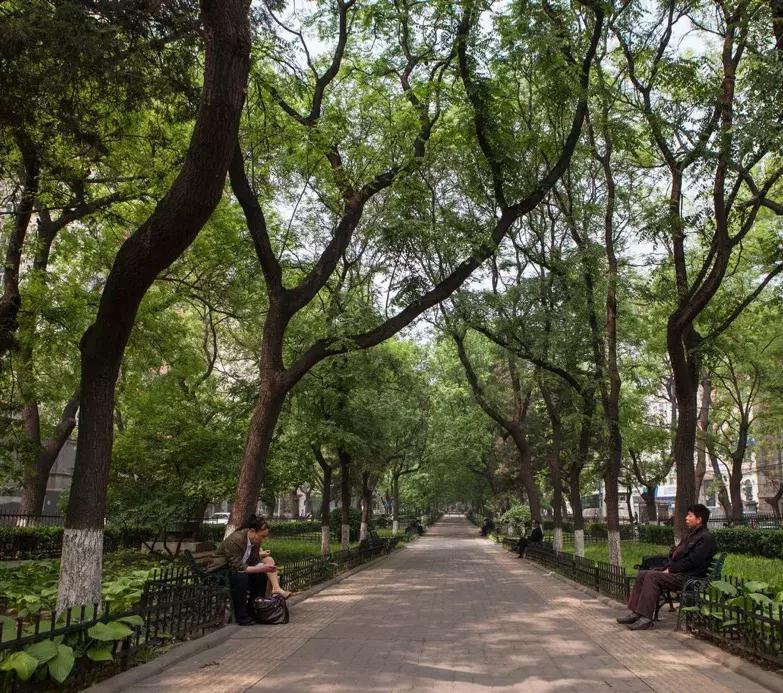 英国少女器官被摘惨死北平街头，人们说：狐狸精又来了…