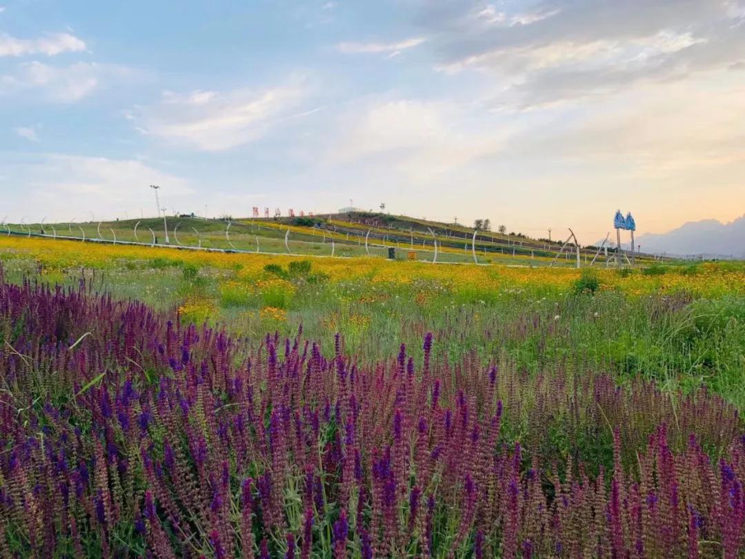 comeonbaby翻译,comeonbaby歌曲女声