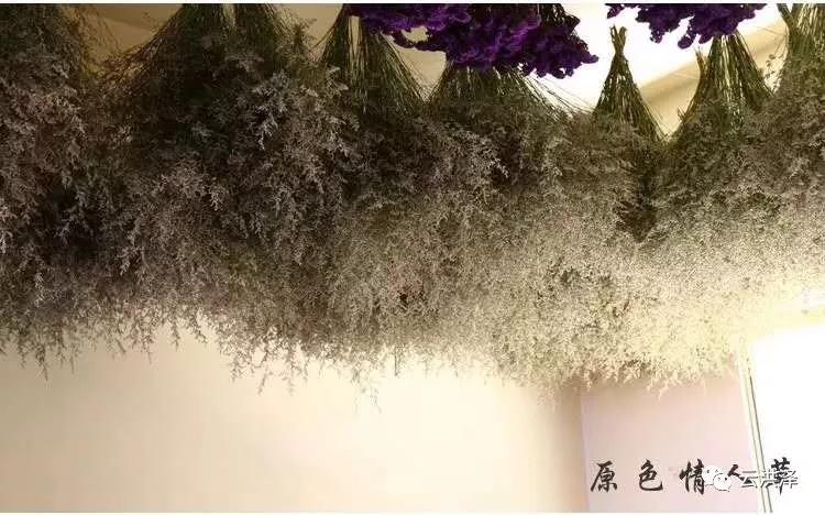 一间小小的花店，透出80后创业者的不凡思维--胡姐花艺