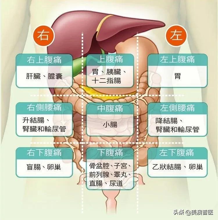 肚子左右两侧疼是肠胃问题吗,肠胃哪些问题会引发肚子疼