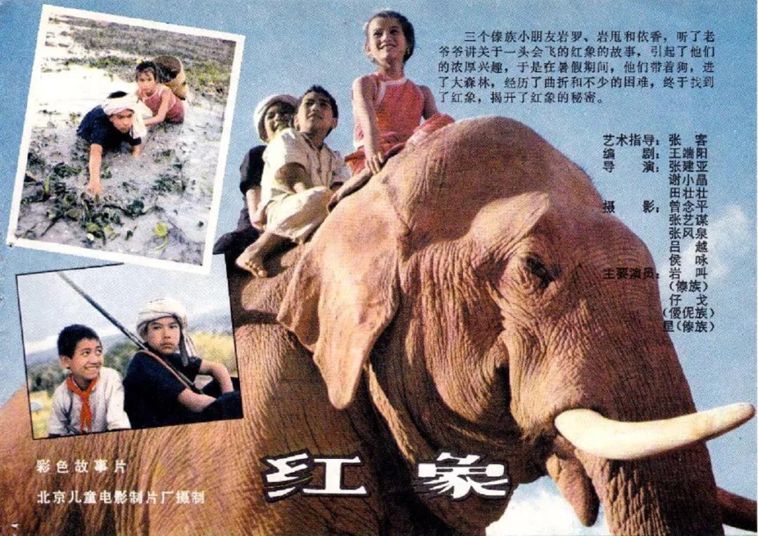 田壮壮真实现状,田壮壮怎么了