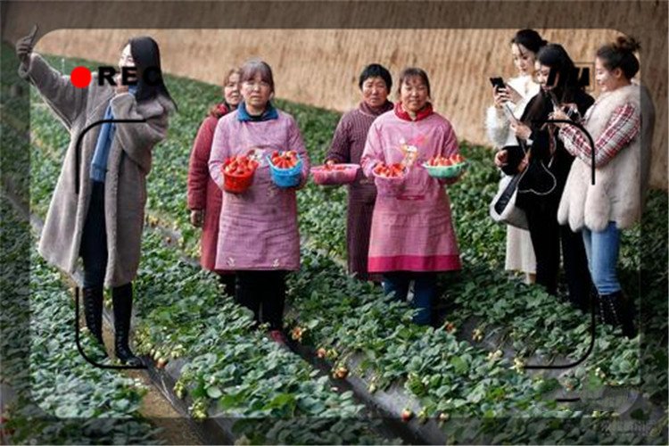 农村创业小项目推荐成本低简单,农村最好的致富项目有哪些