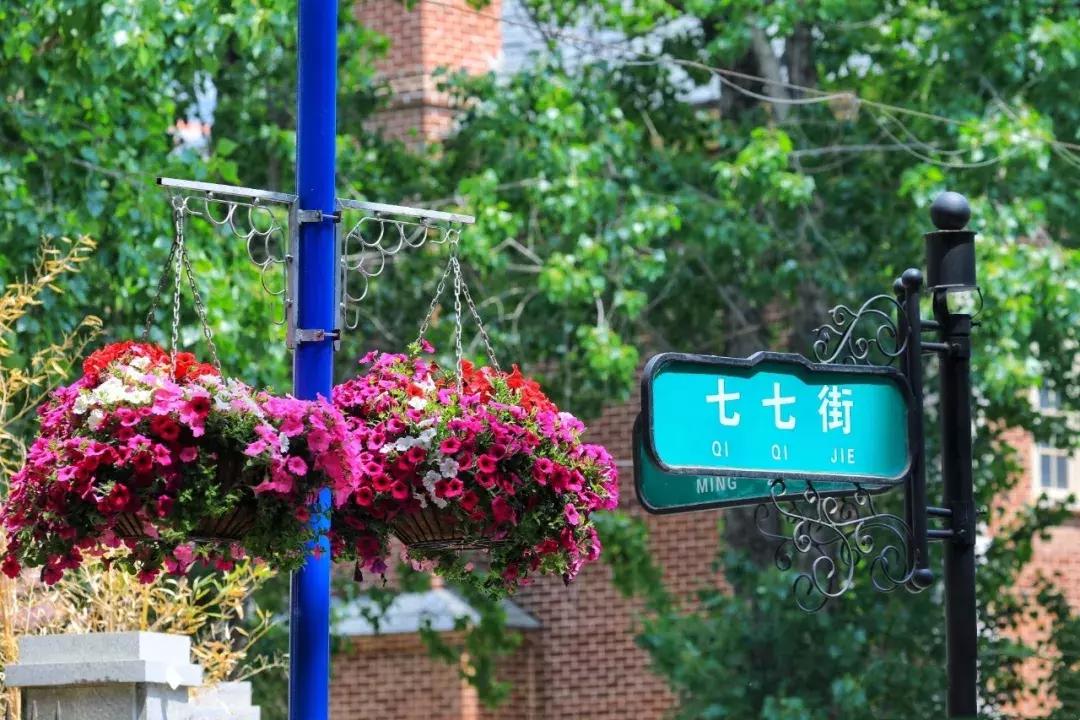 这个夏日25°C的宝藏城市美炸了！海岛、万国建筑、叮叮车..想去