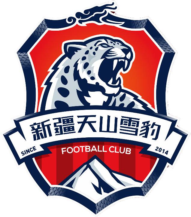 中国足球国家队的队徽变化史,各大足球队队徽盘点