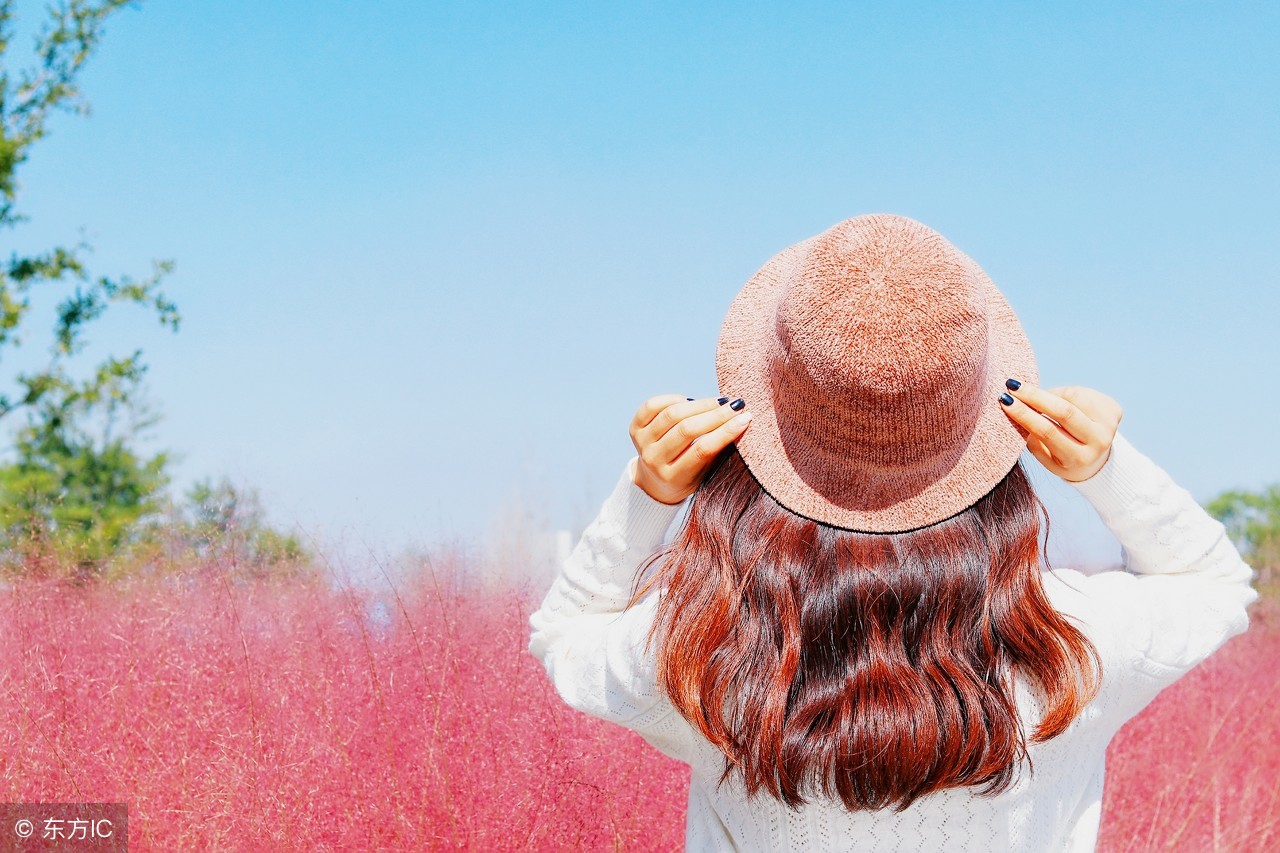 b超看不懂,看不懂b超单用什么app