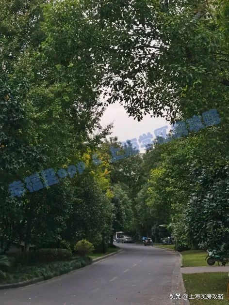 昌邑小学大华校区评价,刚需买不到好的学区房怎么办