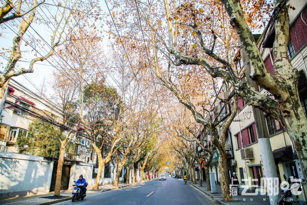 上海国庆免费景点推荐,上海值得去的免费景点旅游攻略