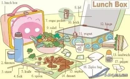 34张图让孩子记住英语中所有生活用词！老师惊呼，太值了