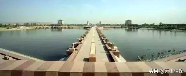 伟大的新疆,伟大的阿勒泰