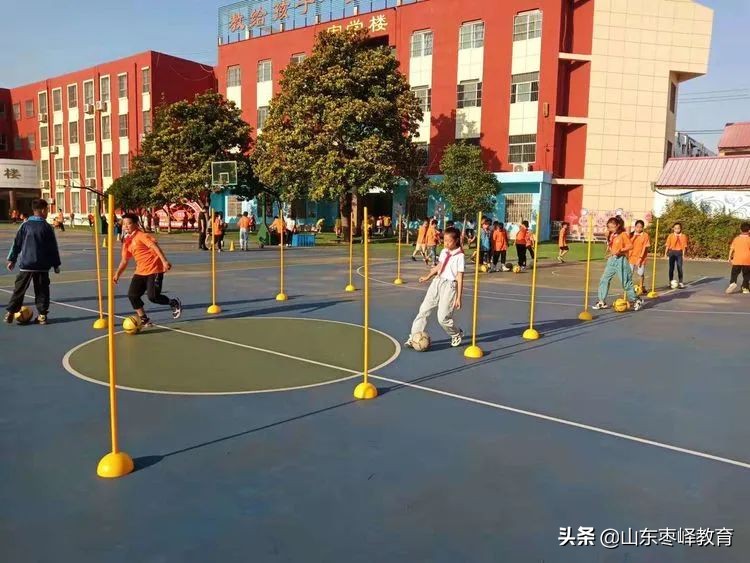 村小落实双减政策提升教学质量,双减政策下的小学教学