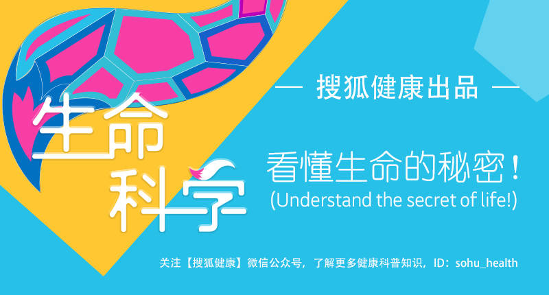 让人又爱又恨的大蒜味如何去除？试试吃点苹果和生菜