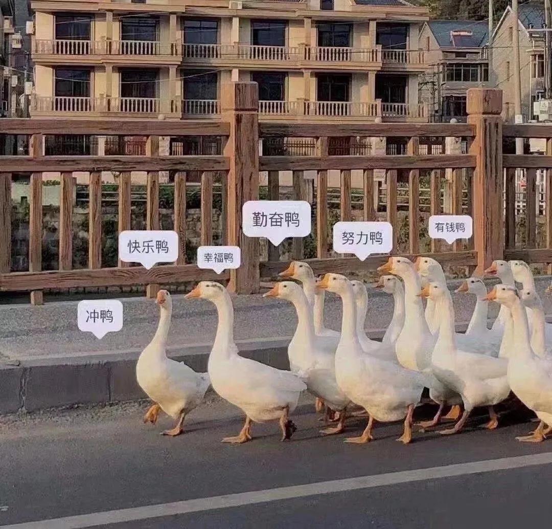 宇航员动态壁纸高清全屏120帧竖屏,太空壁纸高清4k宇航员火箭卡通