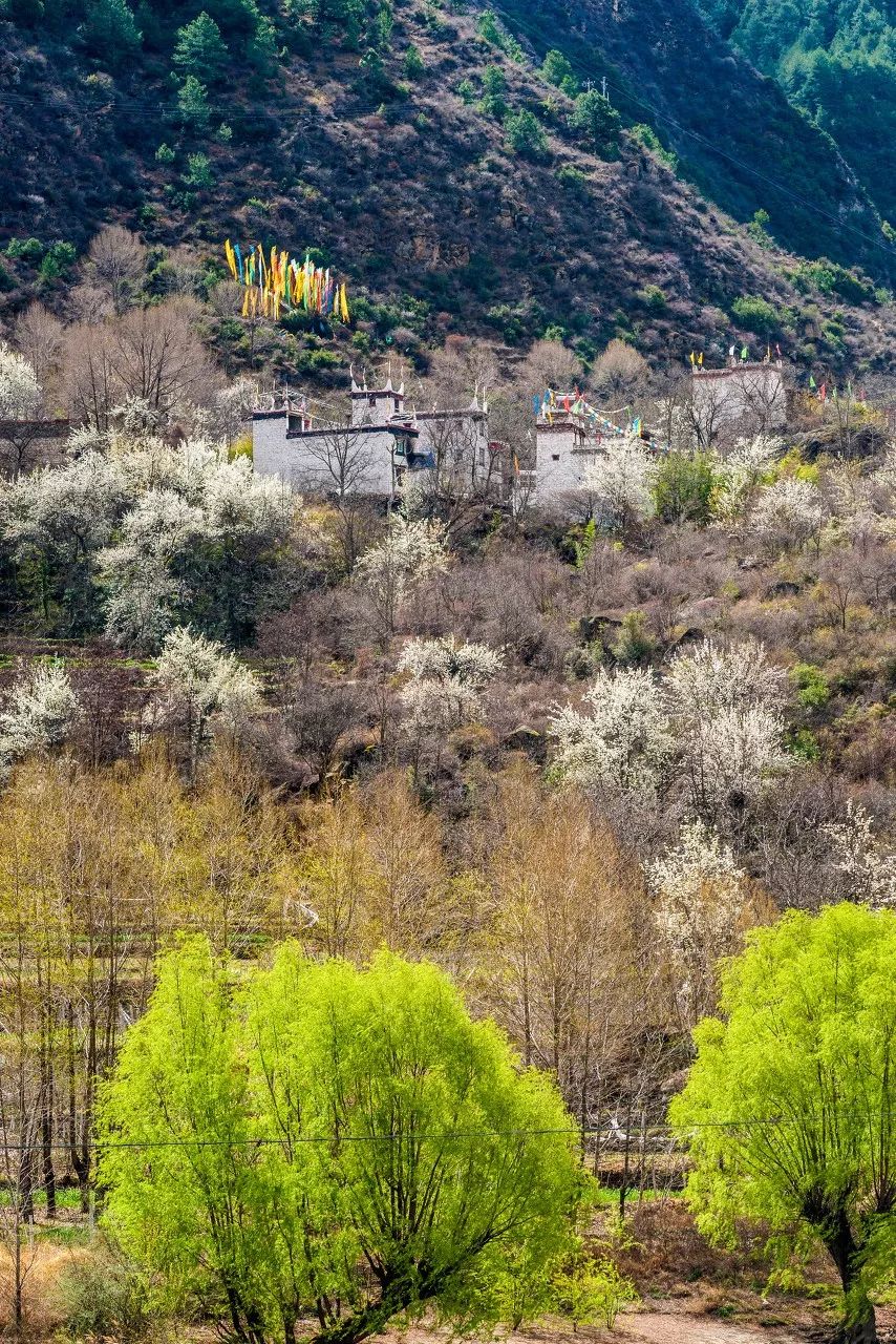 别在年轻的时候去四川！因为你的余生，都将沉醉在她的魅力里
