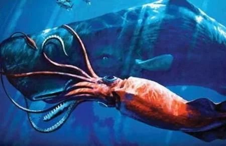 十大未知生物录像,地球十大巨型未知生物