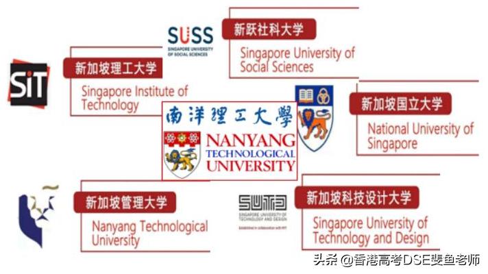 鲸帆dse国际,鲸帆dse国际学校创作人