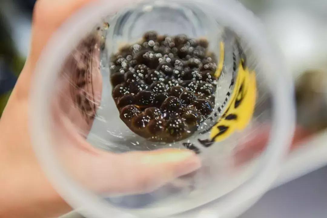 天津一家小馆靠这道菜火了30年,天津有一家小馆靠这道菜火了30年